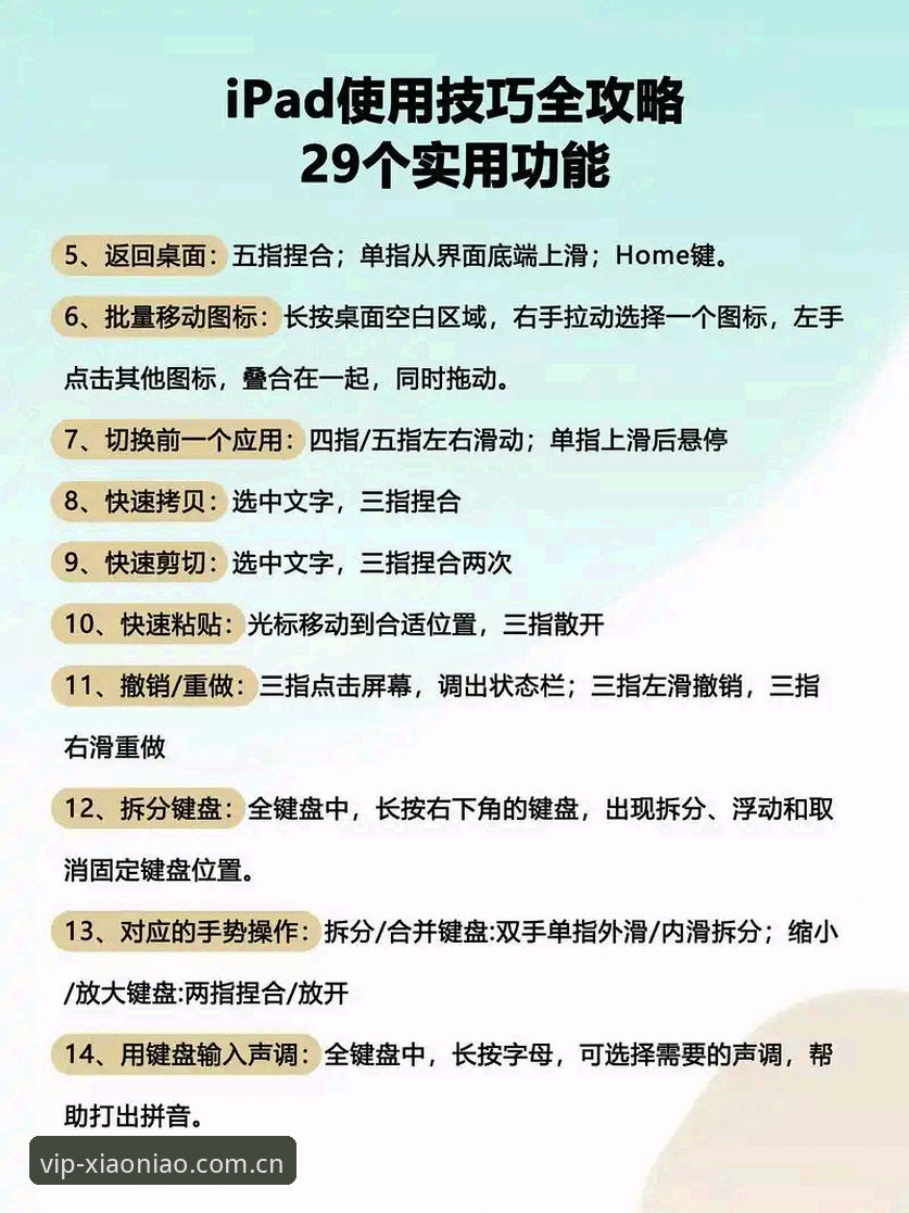 小鸟平台战况追踪 小鸟平台登录与战况追踪操作教程:从入门到精通