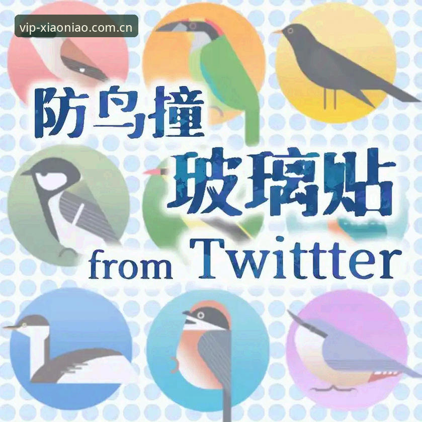 小鸟平台APK下载安全吗 小鸟平台APK下载安全吗?三大关键点帮你判断风险